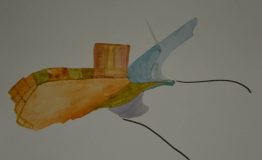 contemporary-art-project-sidnei-tendler-anasazi-watercolors(6)