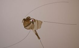 contemporary-art-project-sidnei-tendler-femme-watercolors (2)
