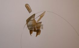 contemporary-art-project-sidnei-tendler-femme-watercolors (20)