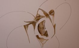 contemporary-art-project-sidnei-tendler-femme-watercolors (21)