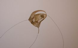 contemporary-art-project-sidnei-tendler-femme-watercolors (3)