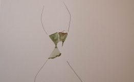 contemporary-art-project-sidnei-tendler-femme-watercolors (35)