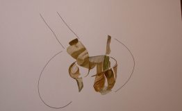contemporary-art-project-sidnei-tendler-femme-watercolors (36)