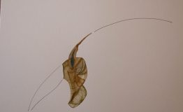 contemporary-art-project-sidnei-tendler-femme-watercolors (40)