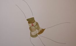 contemporary-art-project-sidnei-tendler-femme-watercolors (41)