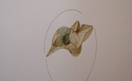 contemporary-art-project-sidnei-tendler-femme-watercolors (45)