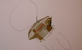contemporary-art-project-sidnei-tendler-femme-watercolors (49)
