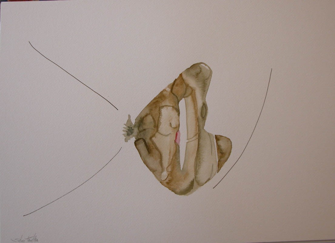 contemporary-art-project-sidnei-tendler-femme-watercolors (63)