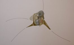 contemporary-art-project-sidnei-tendler-femme-watercolors (66)