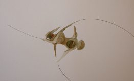 contemporary-art-project-sidnei-tendler-femme-watercolors (67)