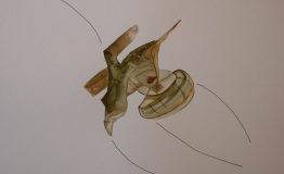 contemporary-art-project-sidnei-tendler-femme-watercolors (68)