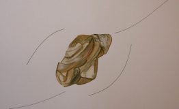 contemporary-art-project-sidnei-tendler-femme-watercolors (69)