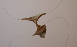 contemporary-art-project-sidnei-tendler-femme-watercolors (71)