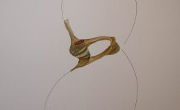 contemporary-art-project-sidnei-tendler-femme-watercolors (87)