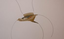 contemporary-art-project-sidnei-tendler-femme-watercolors (97)