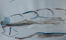 contemporary-art-project-sidnei-tendler-undedun-watercolors (17)