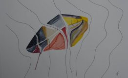 contemporary-art-project-sidnei-tendler-xamany- bananal-watercolors (11)