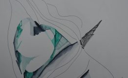 contemporary-art-project-sidnei-tendler-xamany- bananal-watercolors (13)