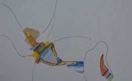 contemporary-art-project-sidnei-tendler-xamany- bananal-watercolors (3)